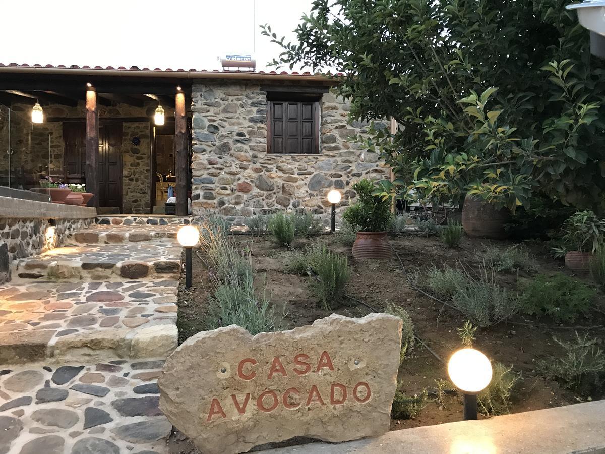 Villa Casa Avocado Tavronitis Eksteriør billede