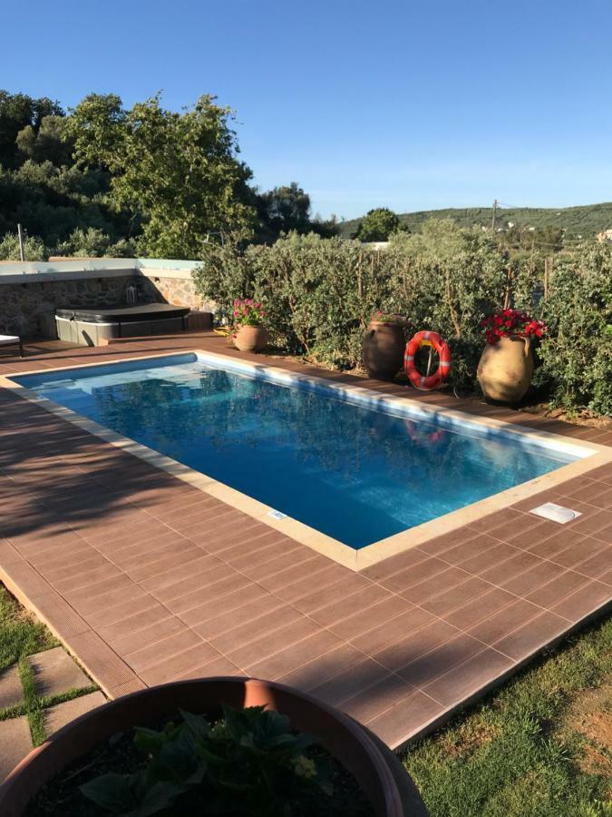 Villa Casa Avocado Tavronitis Eksteriør billede