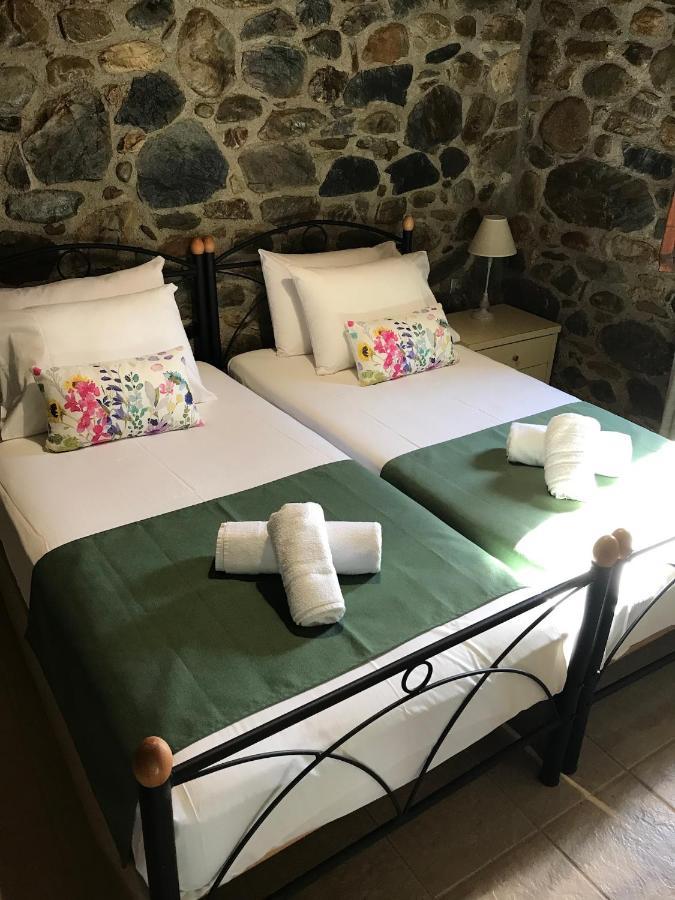 Villa Casa Avocado Tavronitis Eksteriør billede
